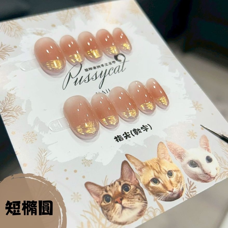 腮紅極光【台灣現貨實拍】純手工美甲片｜手工穿戴甲-規格圖4