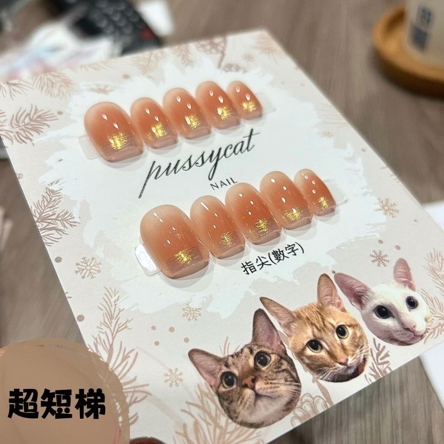 腮紅極光【台灣現貨實拍】純手工美甲片｜手工穿戴甲-規格圖4