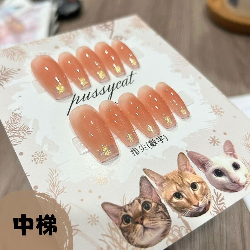 腮紅極光【台灣現貨實拍】純手工美甲片｜手工穿戴甲-規格圖4