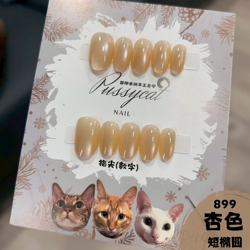 【杏色】899