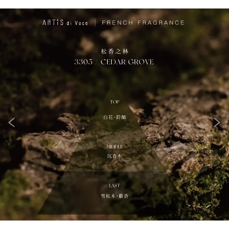 ARTiS di Voce 法國香氛保濕護手霜-細節圖3