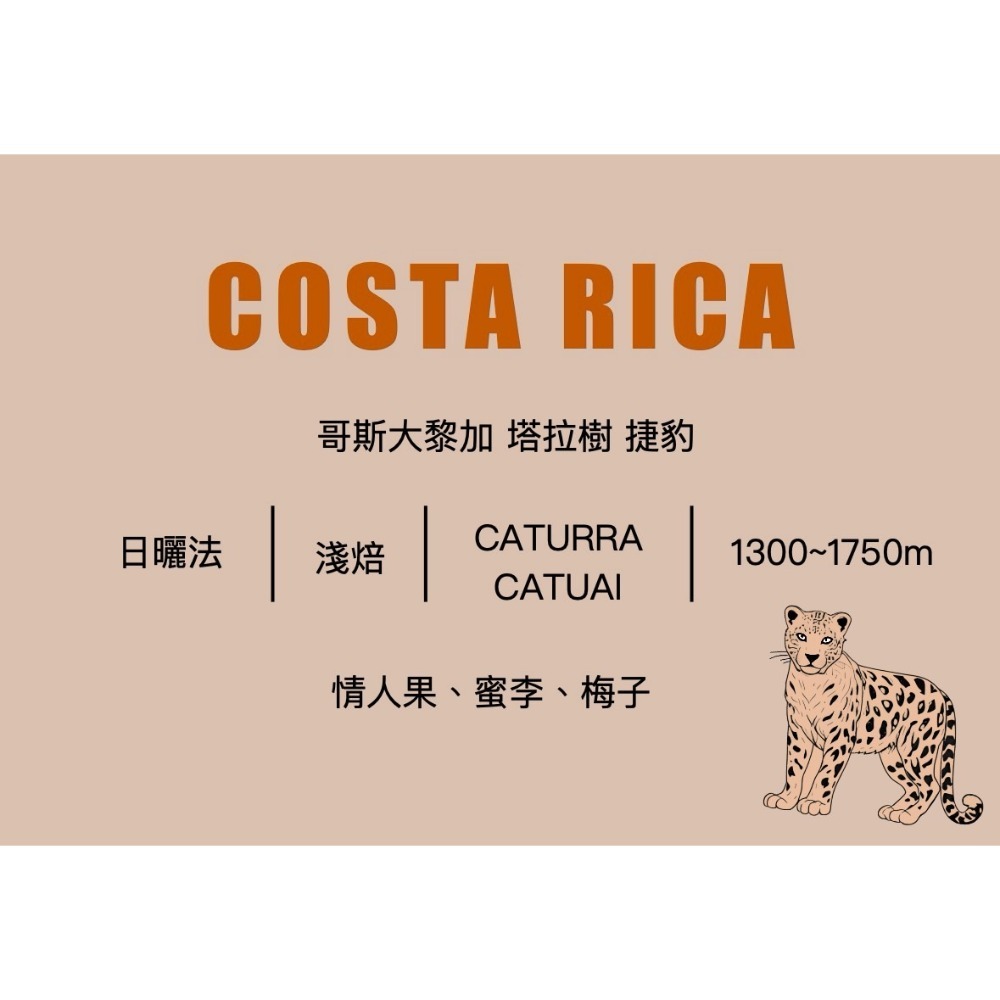 精品濾掛咖啡｜掛耳咖啡 |小包裝咖啡豆 外出隨手包｜ 辦公室咖啡-規格圖2