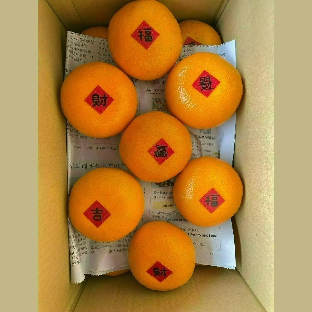 回柑履歷茂谷柑-細節圖4