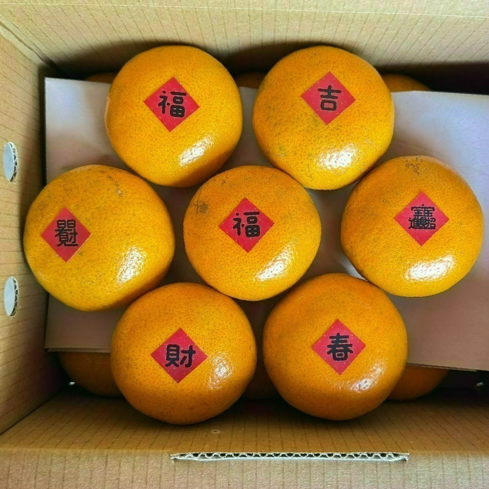 回柑履歷茂谷柑-細節圖5