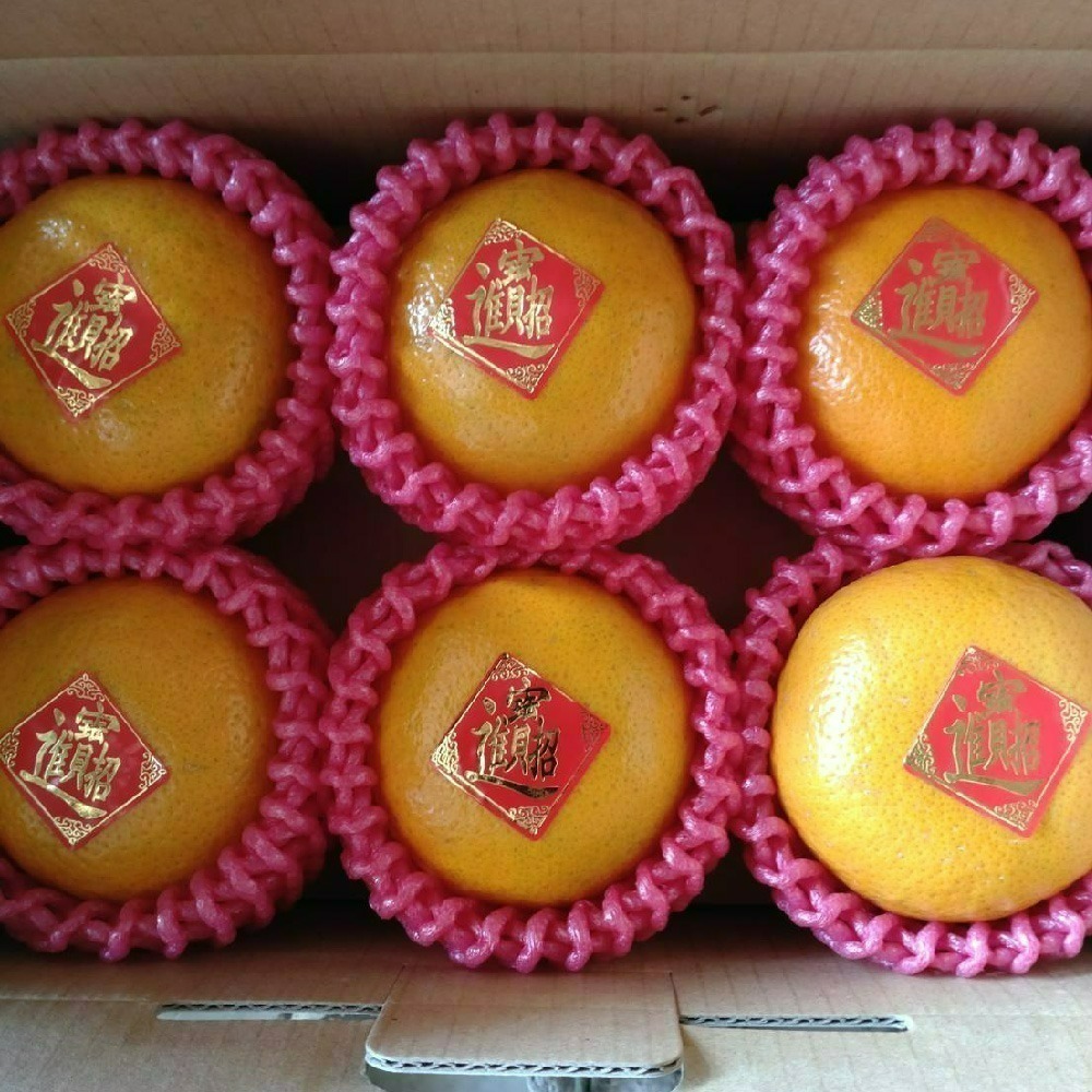 【柑恩有您 · 年節禮盒】-細節圖4