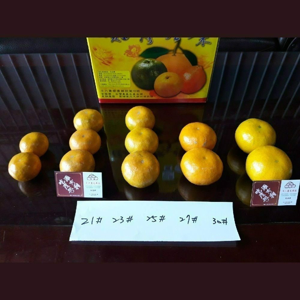 【柑恩有您 · 年節禮盒】-細節圖6