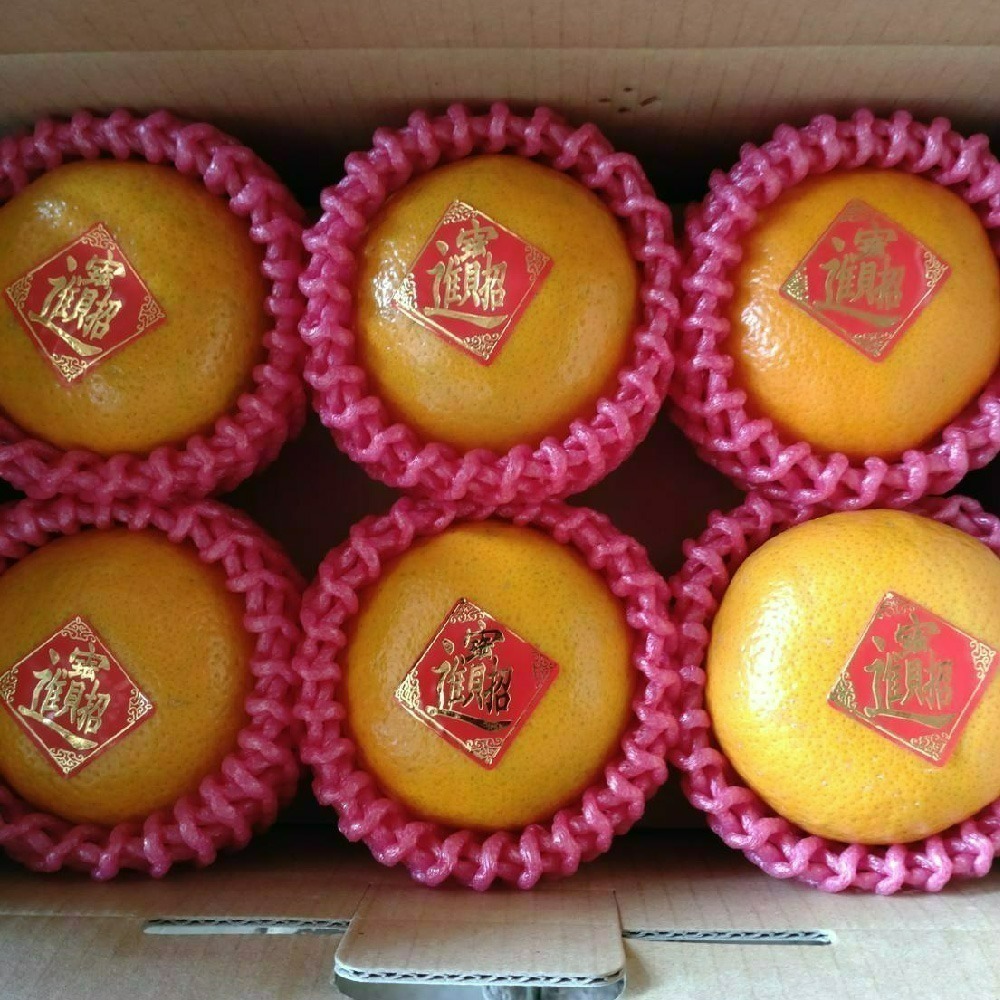 【柑恩有您 · 年節禮盒】-細節圖4