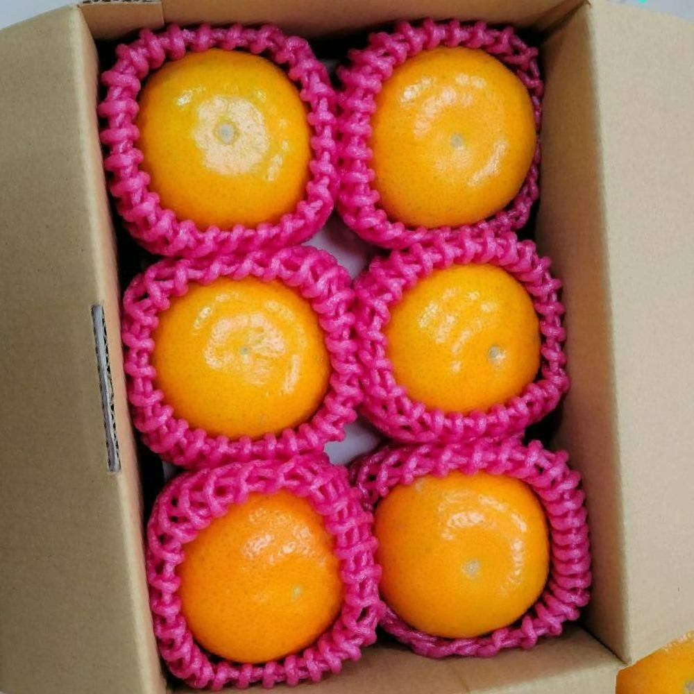 茂谷柑 · 鮮果禮盒-細節圖2