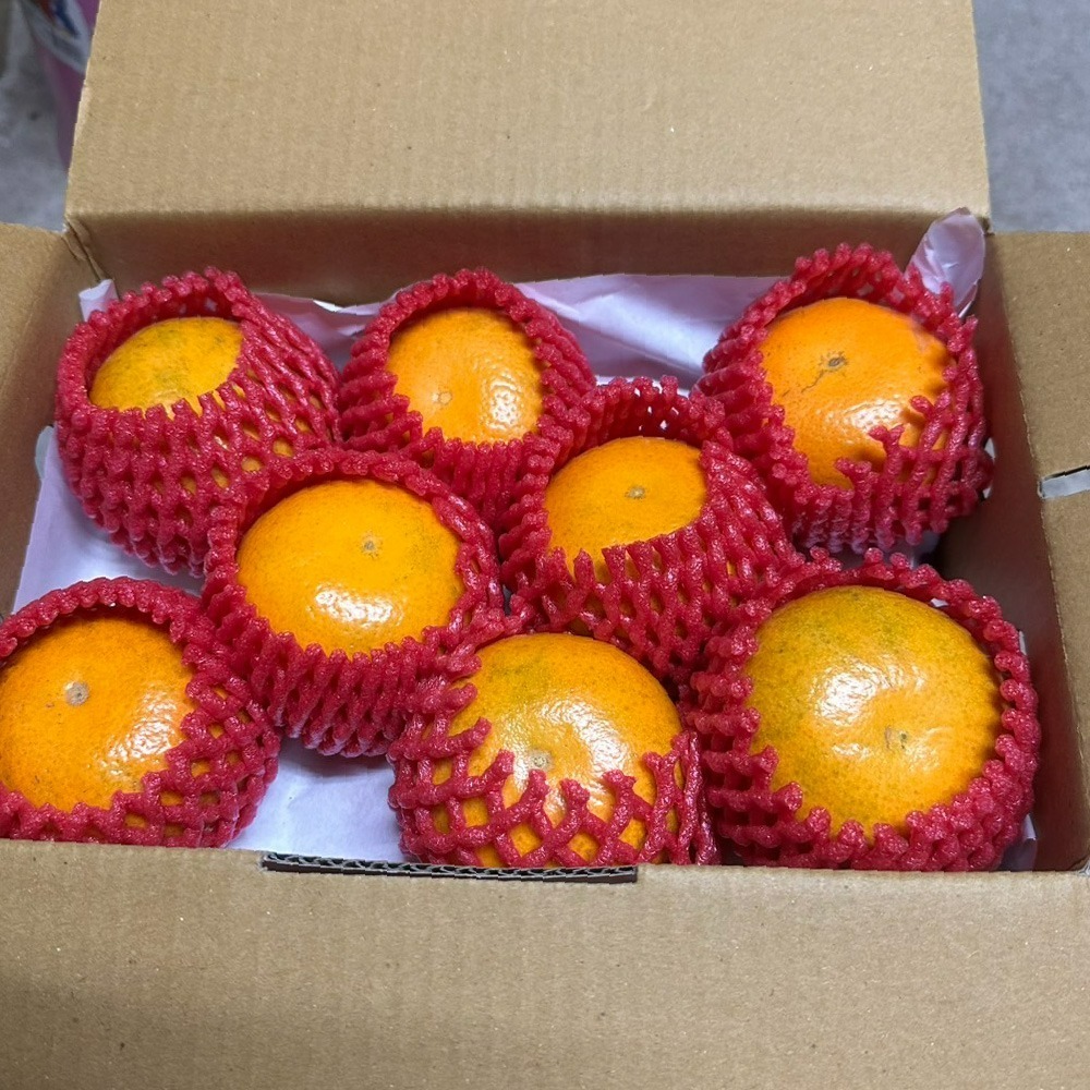 古坑橙香小農茂谷柑-細節圖3