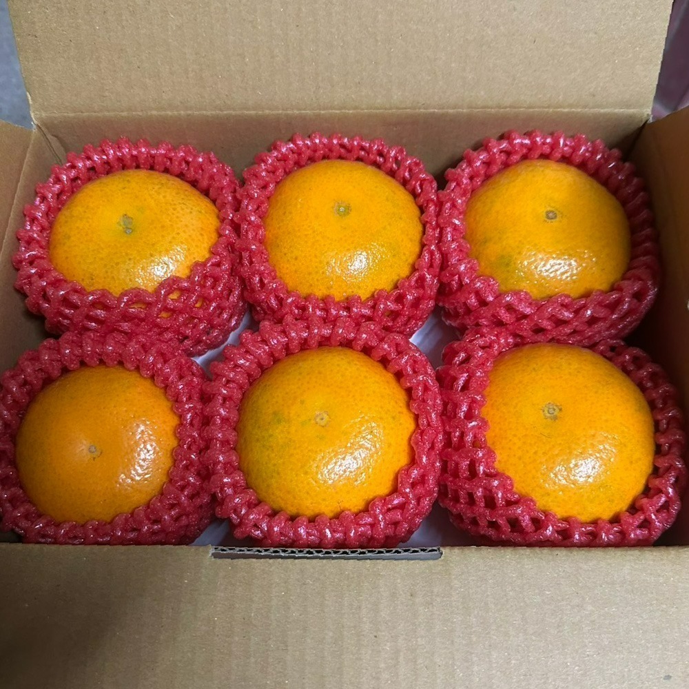 古坑橙香小農茂谷柑-細節圖2