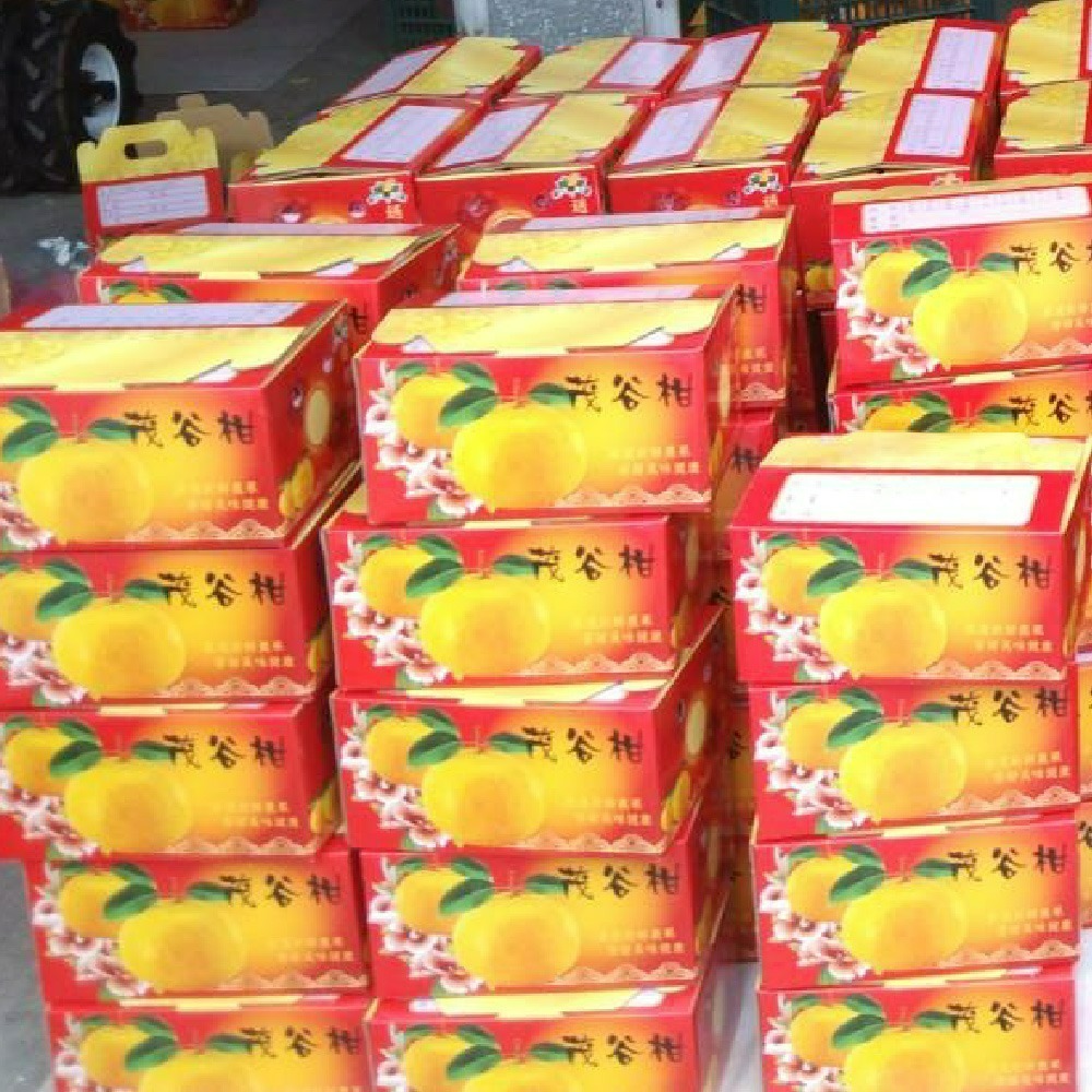 鄭家果園茂谷柑禮盒-細節圖4