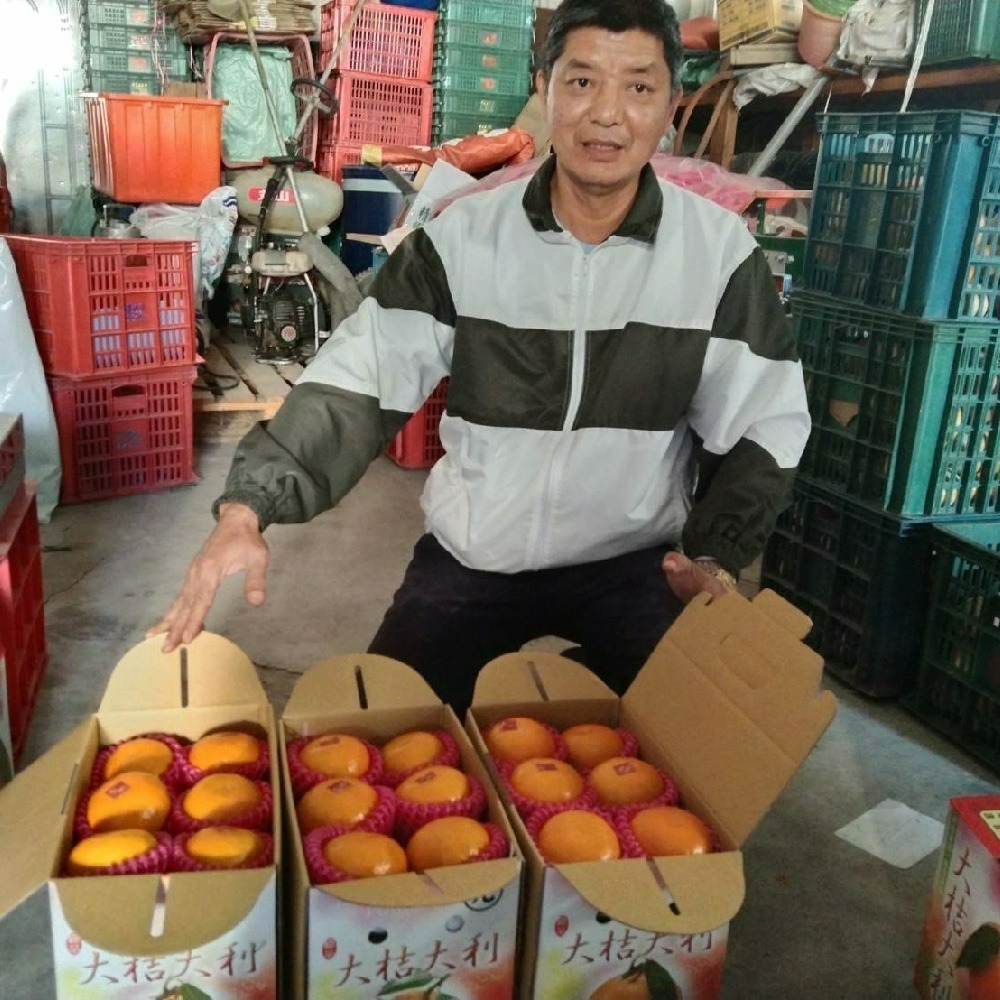 鄭家果園茂谷柑禮盒-細節圖5