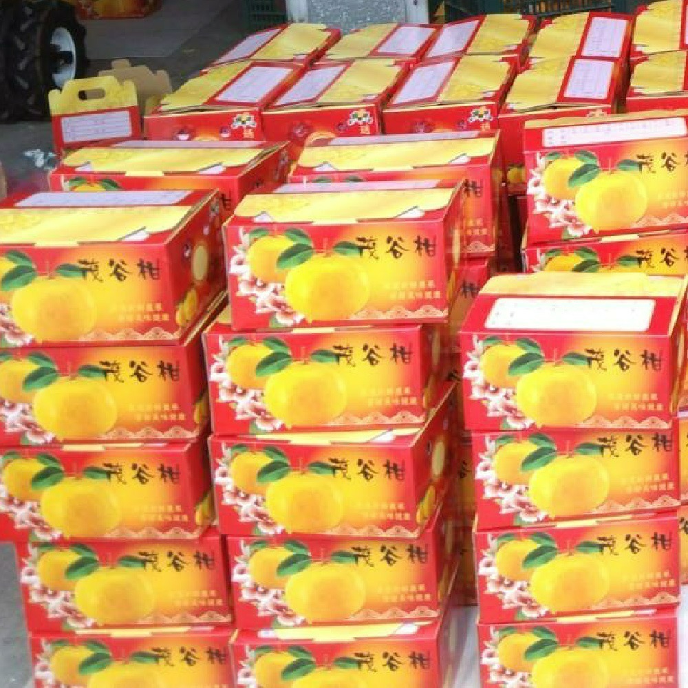 鄭家果園茂谷柑禮盒-細節圖4