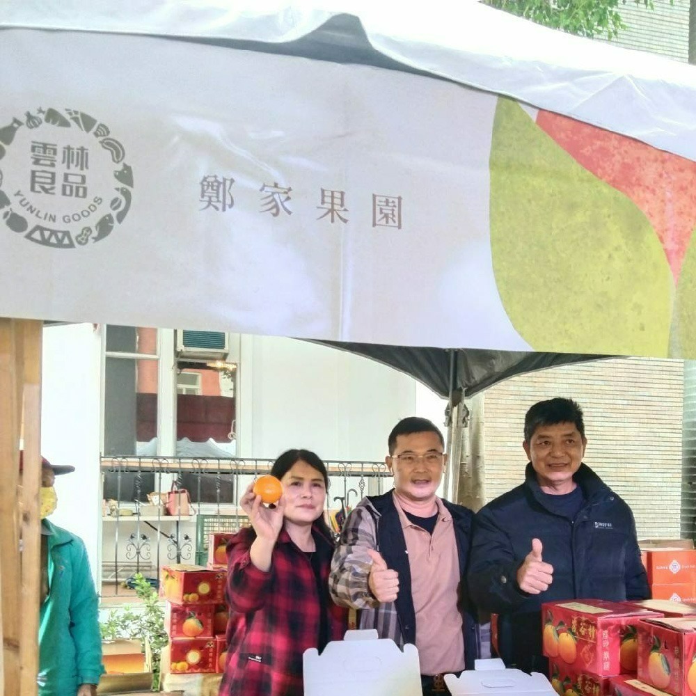 鄭家果園茂谷柑禮盒-細節圖6