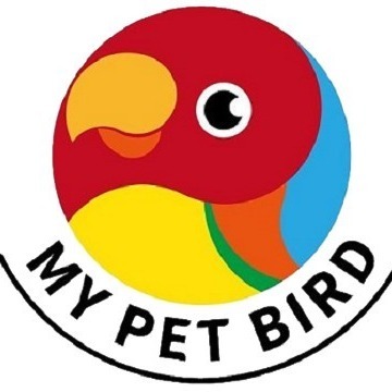 MY PET BIRD   綠繡眼吸盤站棍 W803-細節圖6