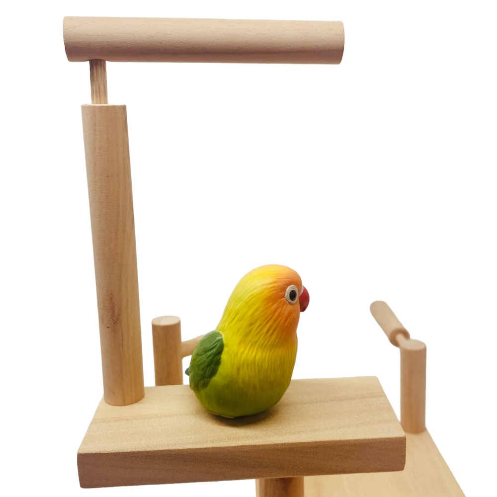 MY PET BIRD 小鸚鵡遊戲台  W900-細節圖7