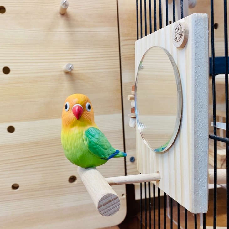 MY PET BIRD 小型鳥站鏡-細節圖10