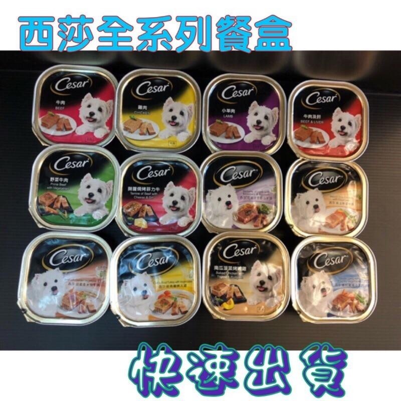 ★JIA★現貨(12種口味) 新鮮貨 Cesar西莎 餐盒 西莎 狗 罐頭 餐罐-細節圖4