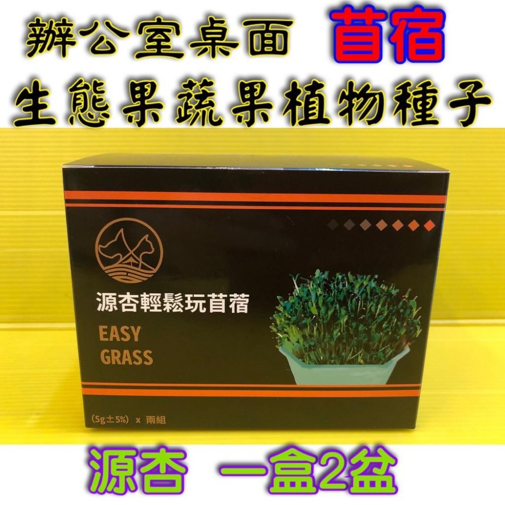 ★JIA★源杏 輕鬆玩苜蓿 一盒2盆 栽培盒 精心挑選優質種子 貓草 DIY 辦公室桌面 生態果蔬植物種子-細節圖2