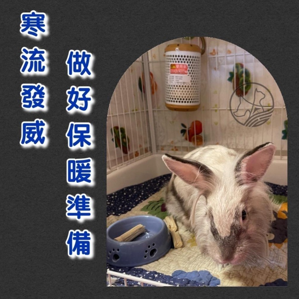 ★JIA-JIA★MS.PET 陶瓷保溫燈組100瓦/100W(燈罩+燈泡) 寵物 鳥 鸚鵡 鼠兔 小動物 犬 貓 狗-細節圖5