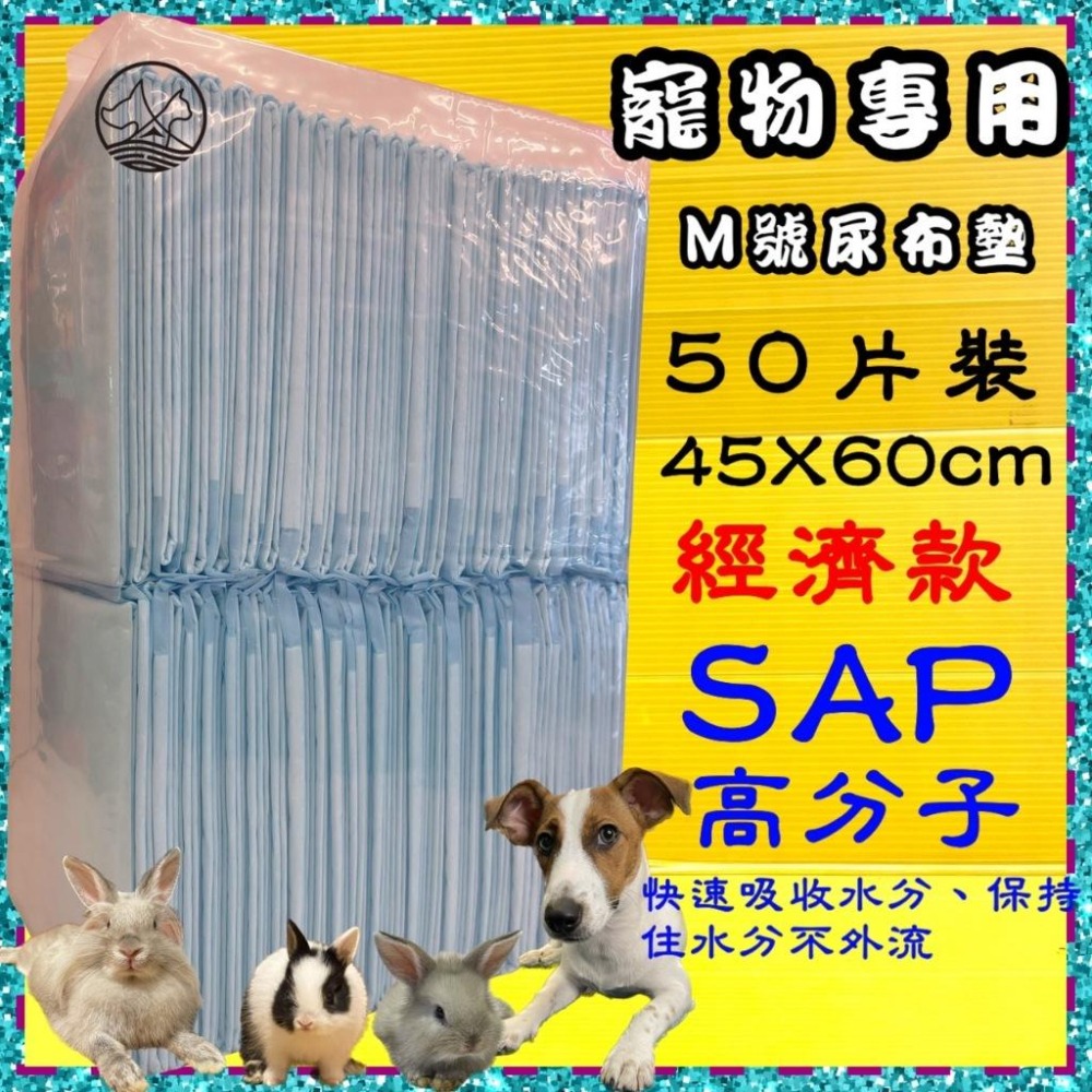 ★JIA★犬 貓 寵物 業務用 尿片 尿布墊 清潔超吸水安心不外漏 不回滲100片 兔子-細節圖2