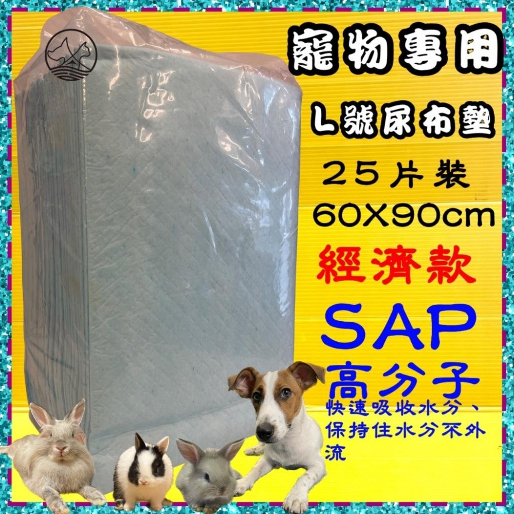 ★JIA★犬 貓 寵物 業務用 尿片 尿布墊 清潔超吸水安心不外漏 不回滲100片 兔子-細節圖4