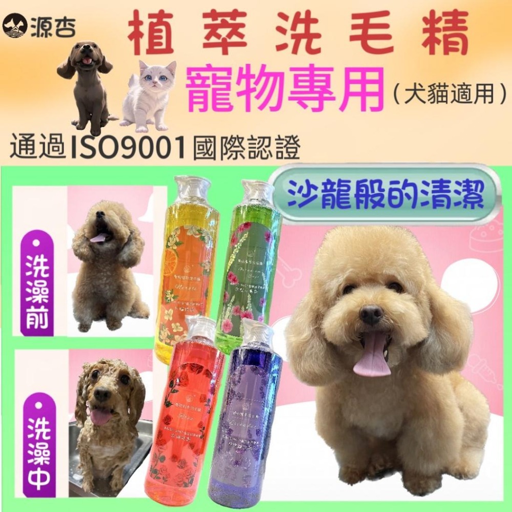 ★JIA★源杏 洗毛精《分裝隨身瓶 防蚤蝨 煥白 煥膚 全效 20ml/瓶》犬 貓 寵物專用 植萃 分裝 體驗 旅行-細節圖2