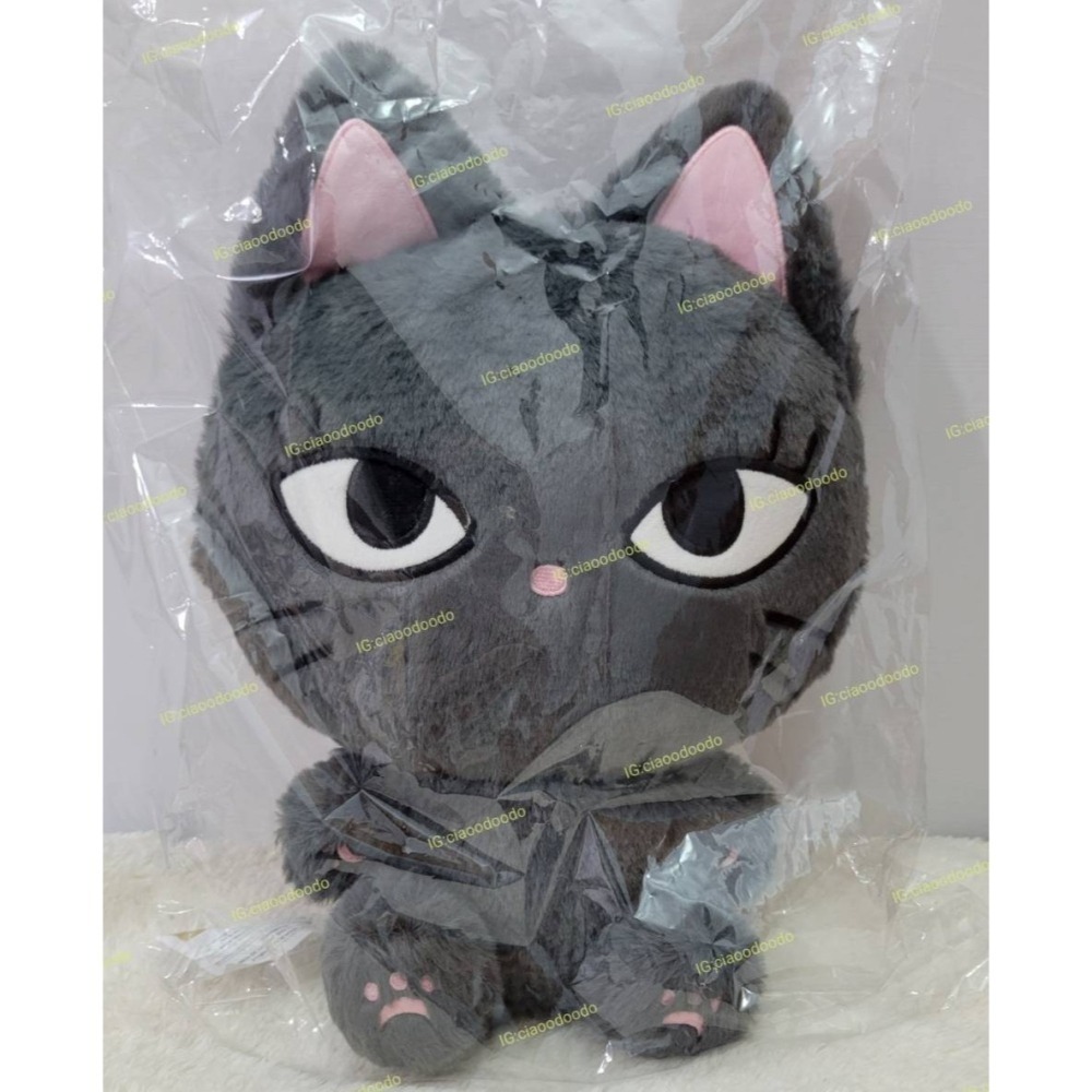 現貨 韓國 aespa 娃娃 四周年 30cm 坐姿娃娃 KARINA WINTER GISELLE NIN-細節圖2