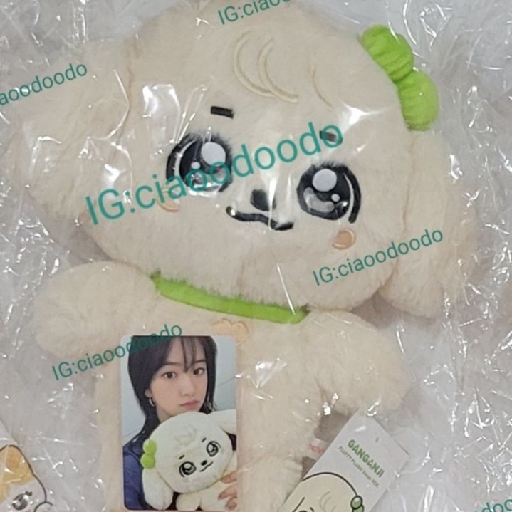 現貨 韓國 IVE MINIVE 娃娃 30CM 大娃 快閃店 絨毛娃娃-規格圖2