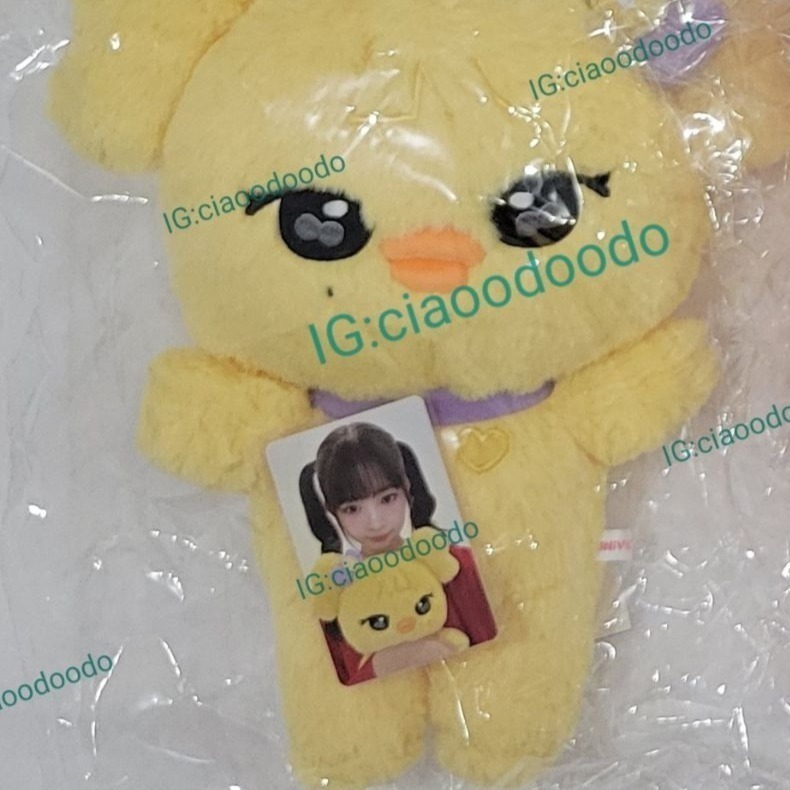 現貨 韓國 IVE MINIVE 娃娃 30CM 大娃 快閃店 絨毛娃娃-規格圖2