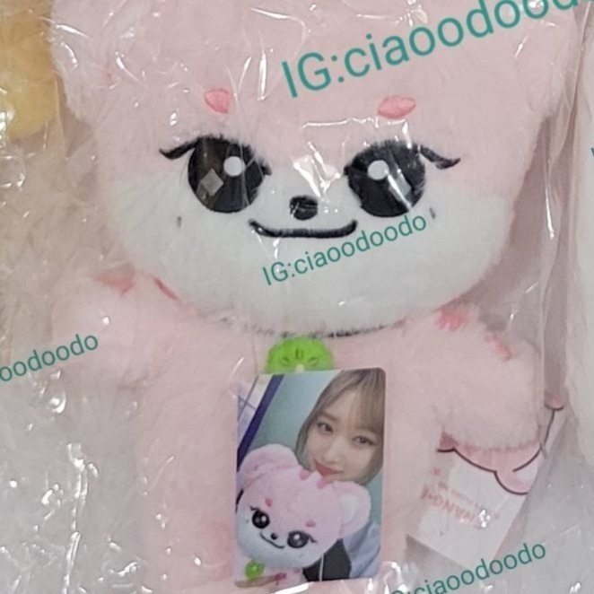 現貨 韓國 IVE MINIVE 娃娃 30CM 大娃 快閃店 絨毛娃娃-規格圖2