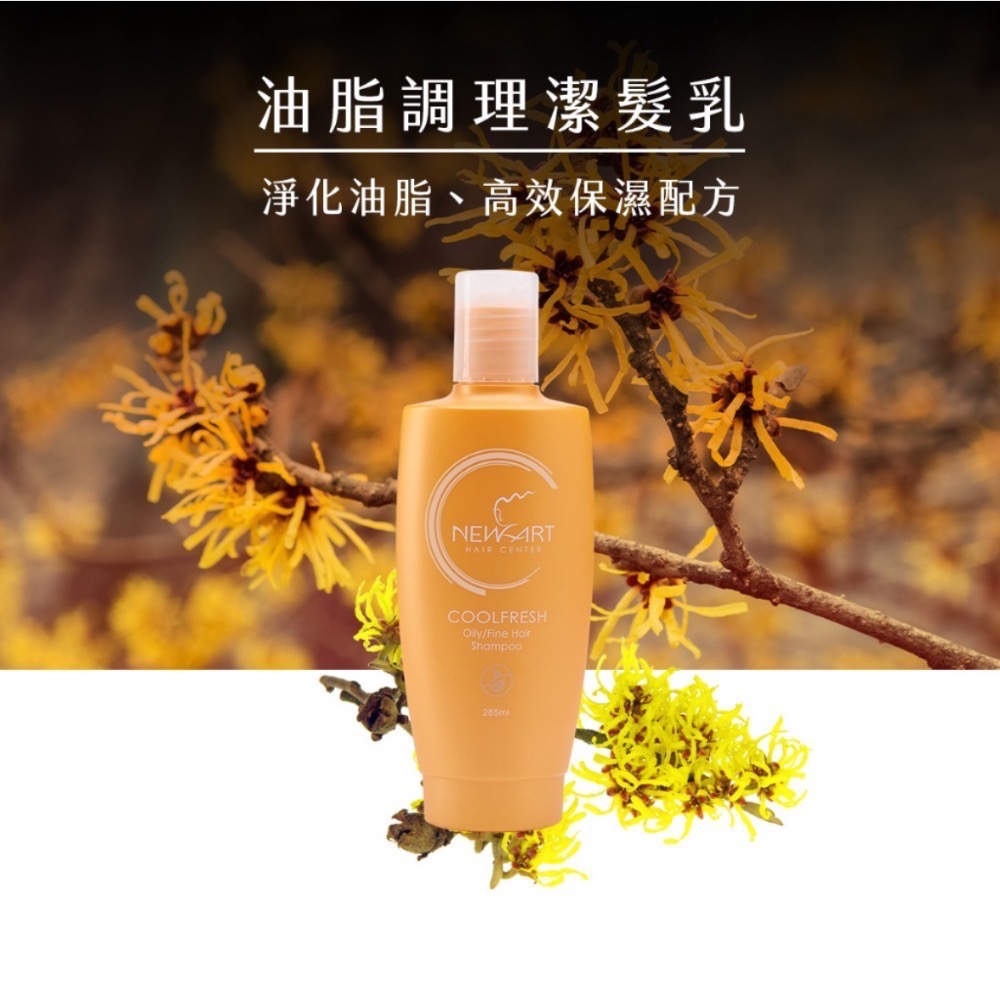 NEWART 新技✨綠茶油切涼感/活氧油脂調理 洗髮精285ml-細節圖2