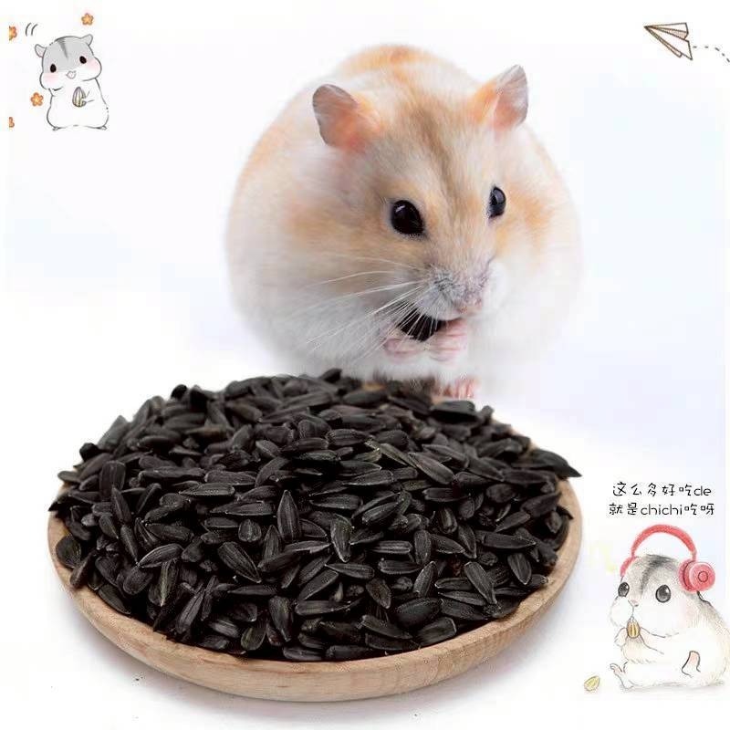 🐭滿倉補給站🐭 YEE 小黑瓜子-細節圖2