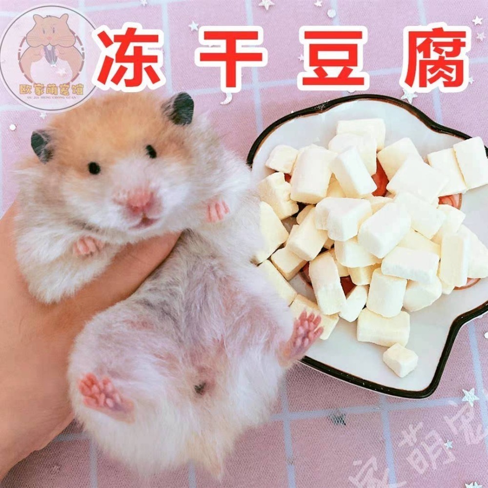 🐭椪柑的倉鼠🐭 馬卡 豆腐凍干粒-細節圖3