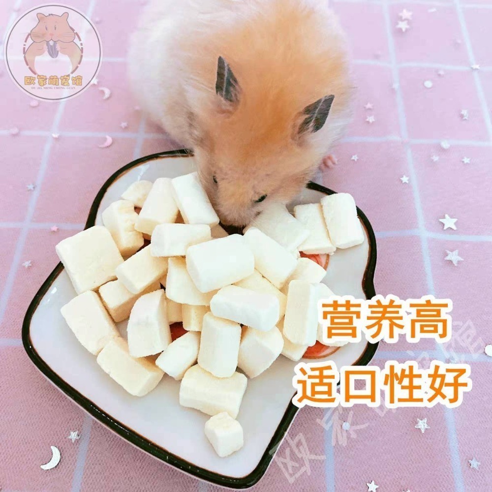 🐭椪柑的倉鼠🐭 馬卡 豆腐凍干粒-細節圖5