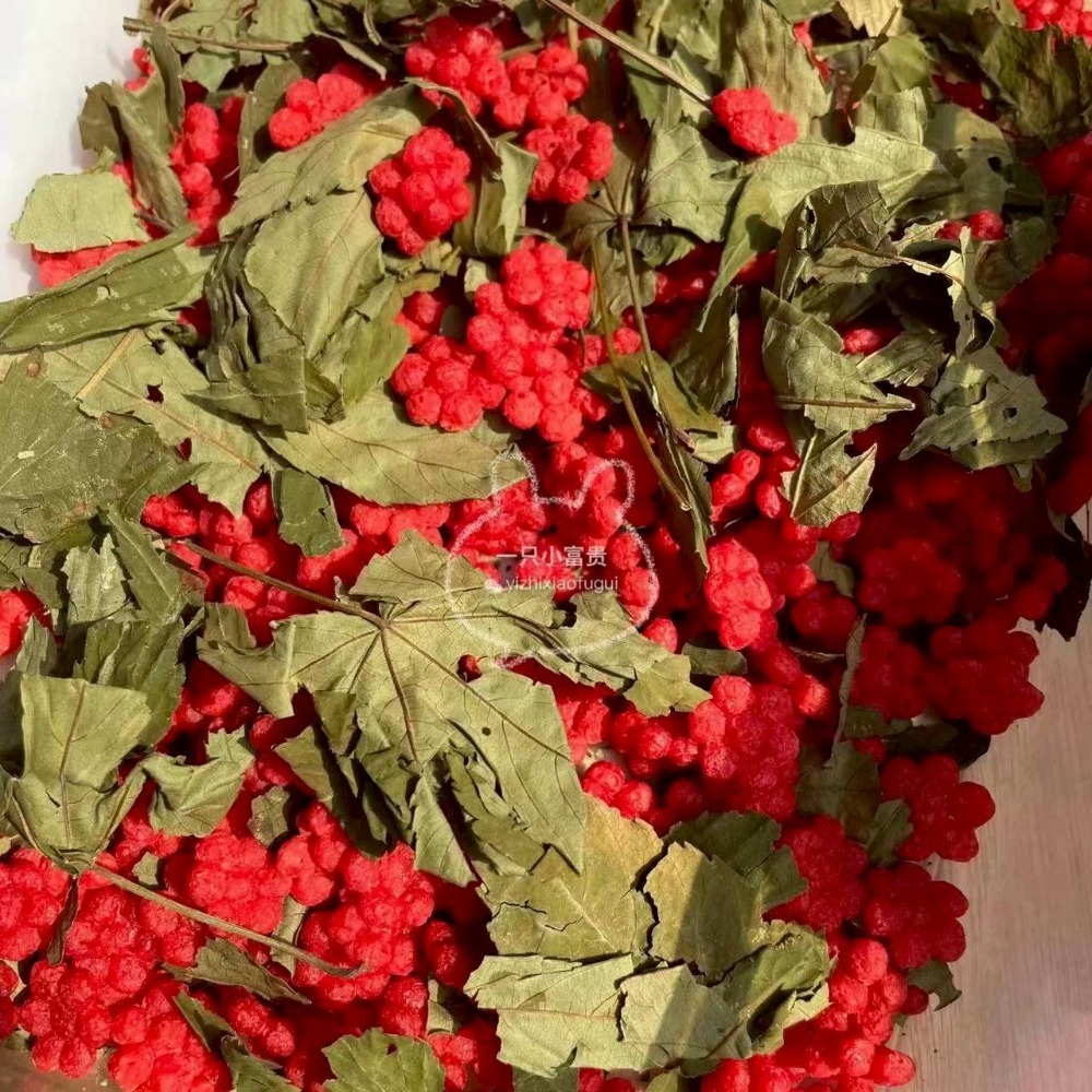 🐭滿倉補給站🐭 一只小富貴 甜葉莓莓/藍莓萄萄-細節圖2