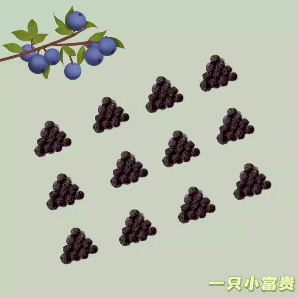 🐭滿倉補給站🐭 一只小富貴 甜葉莓莓/藍莓萄萄-細節圖5