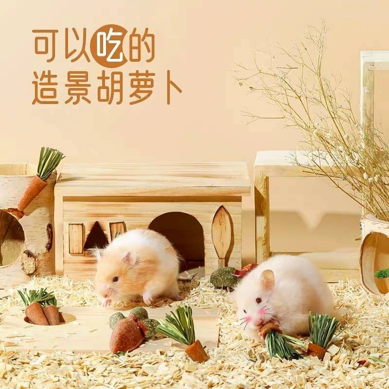 🐭椪柑的倉鼠🐭 赫爾達 造景小胡蘿蔔-細節圖2