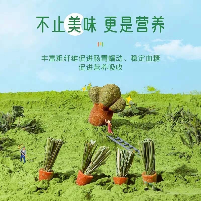 🐭椪柑的倉鼠🐭 赫爾達 造景小胡蘿蔔-細節圖4