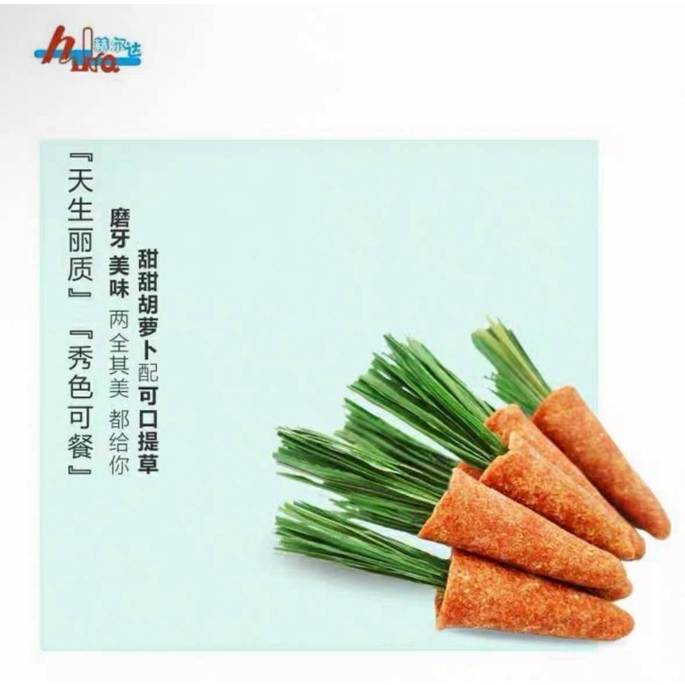 🐭椪柑的倉鼠🐭 赫爾達 造景小胡蘿蔔-細節圖8
