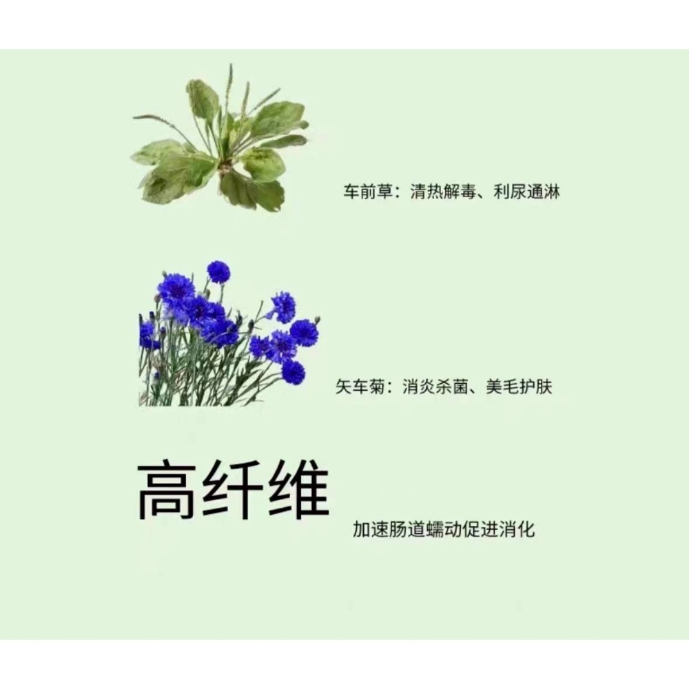 🐭椪柑的倉鼠🐭 一只小富貴 綜合草本拌飯-細節圖4