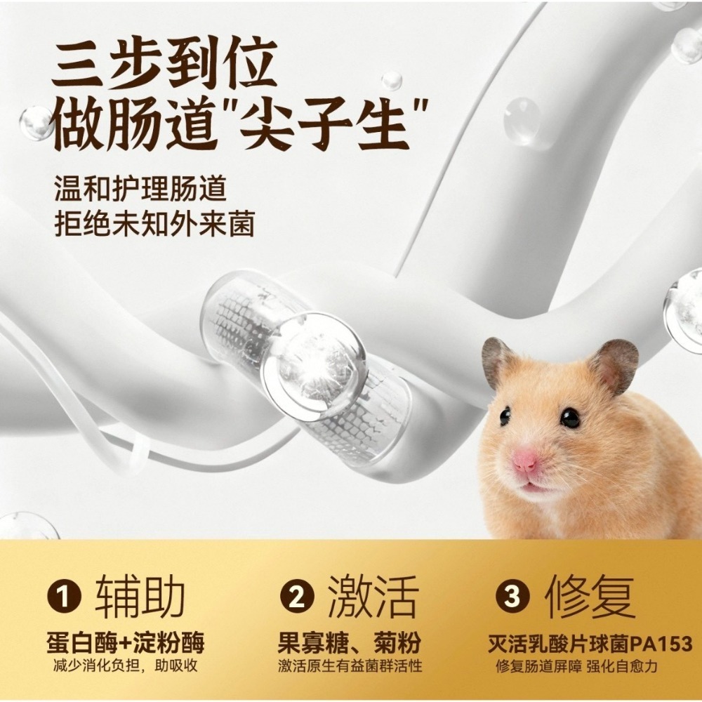 🐭椪柑的倉鼠🐭 ✨它適 全價烘焙倉鼠糧-細節圖3