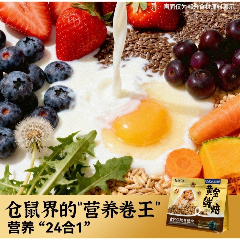 🐭椪柑的倉鼠🐭 ✨它適 全價烘焙倉鼠糧-細節圖4