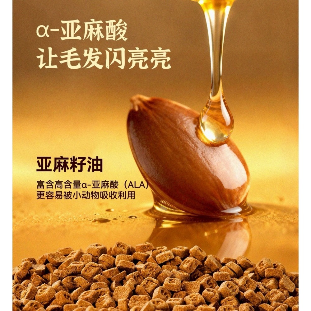 🐭椪柑的倉鼠🐭 ✨它適 全價烘焙倉鼠糧-細節圖8