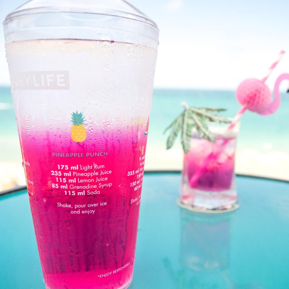 唯ㄧ現貨 💖 澳洲 SunnyLife ☀️ 絕版精品！繽紛 > 吸管、杯墊、裝飾、製冰器、攪伴棒、雪克杯、31件組！-細節圖5