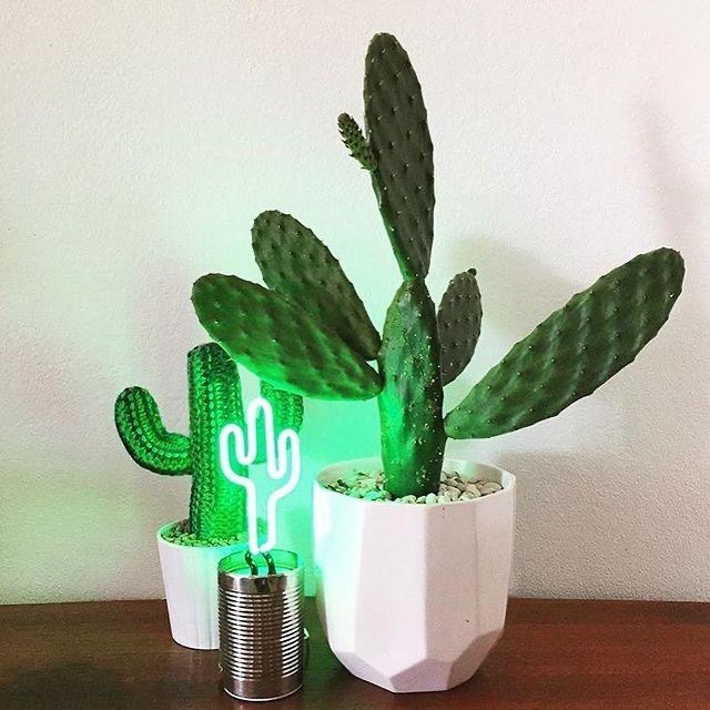 唯ㄧ現貨 💖 澳洲 SunnyLife ☀️ 絕版精品！LED！仙人掌 > 霓虹燈、裝飾燈、氛圍燈、小夜燈！-細節圖5