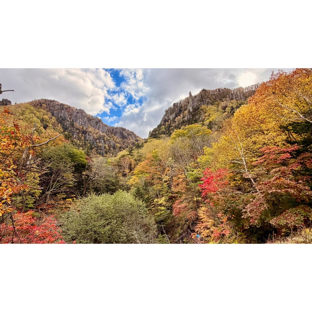 風景書籤一組-細節圖2