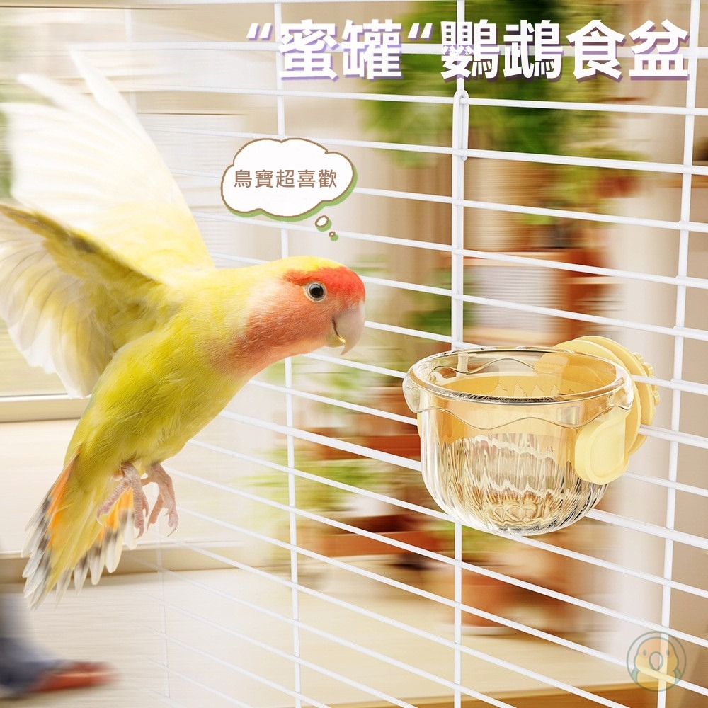 [蹦蹦鳥] 鸚鵡蜜罐食盆 蜜罐食杯 鳥用餵食器 玄鳳 虎皮 外帶懸掛式防撒食盆 小寵空中食盒-細節圖2