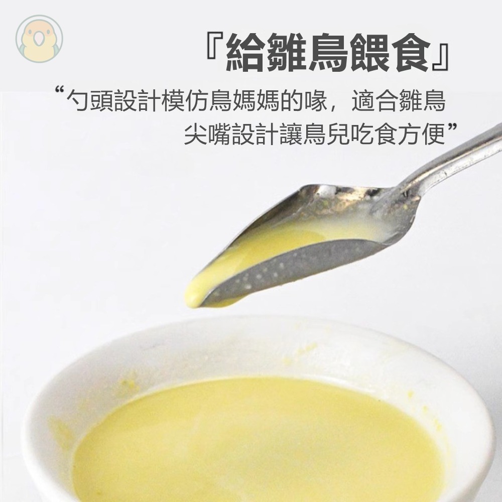 [蹦蹦鳥] 不銹鋼 鸚鵡餵奶勺子 手養鸚鵡 玄鳳虎皮小鸚雛鳥幼鳥餵食勺子 (單支)-細節圖2