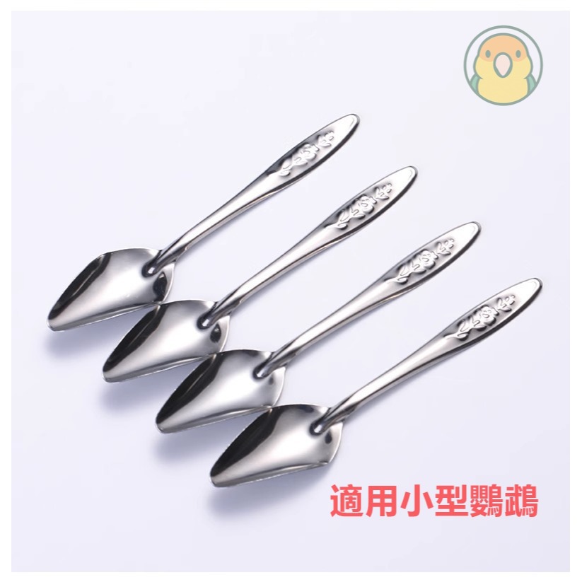 [蹦蹦鳥] 不銹鋼 鸚鵡餵奶勺子 手養鸚鵡 玄鳳虎皮小鸚雛鳥幼鳥餵食勺子 (單支)-細節圖3